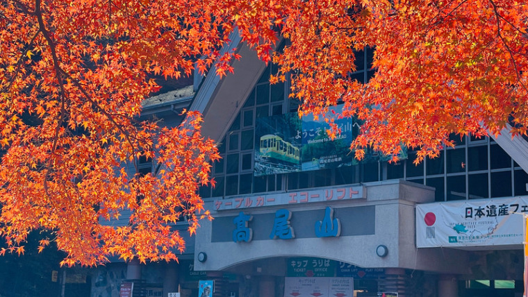 【高尾山】紅葉を楽しむ初心者向けガイド！おすすめスポット・混雑などを写真多めで解説